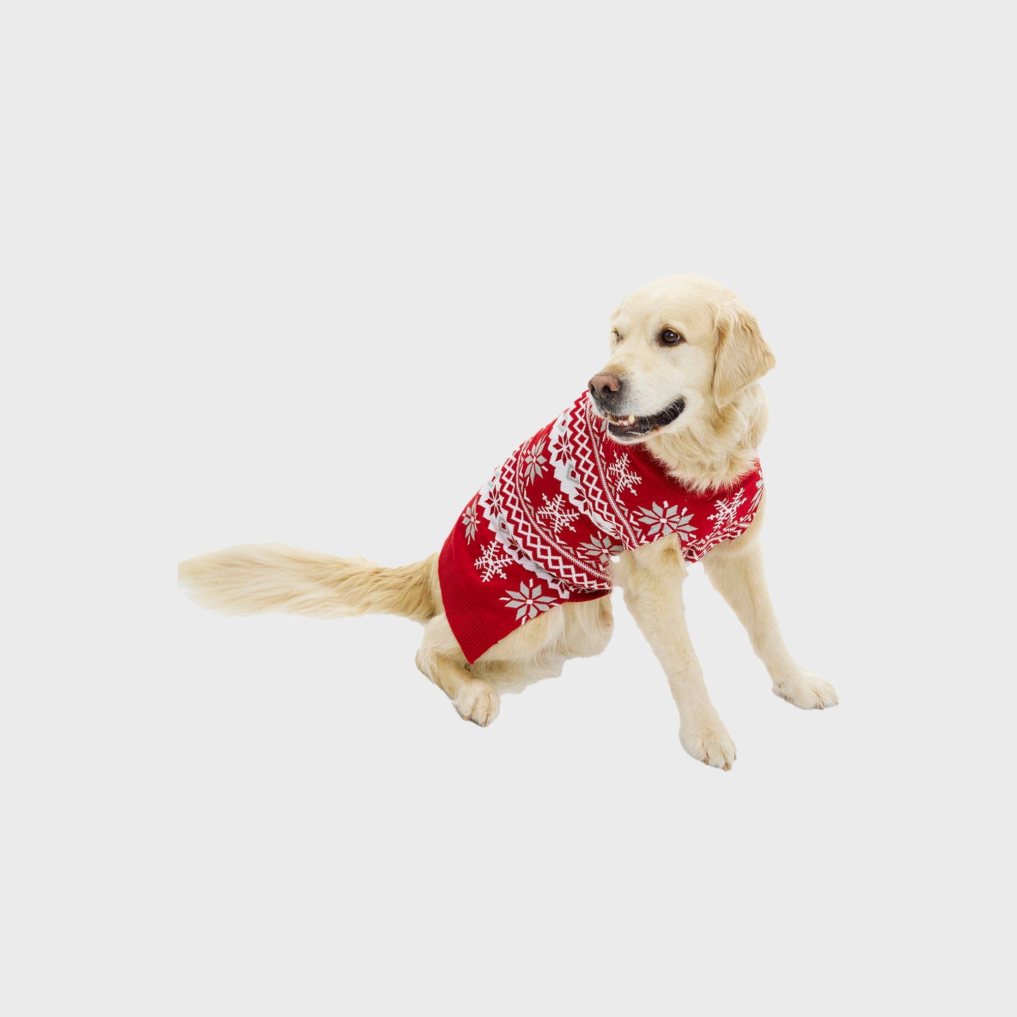 Cute Hunde-Weihnachtspullover